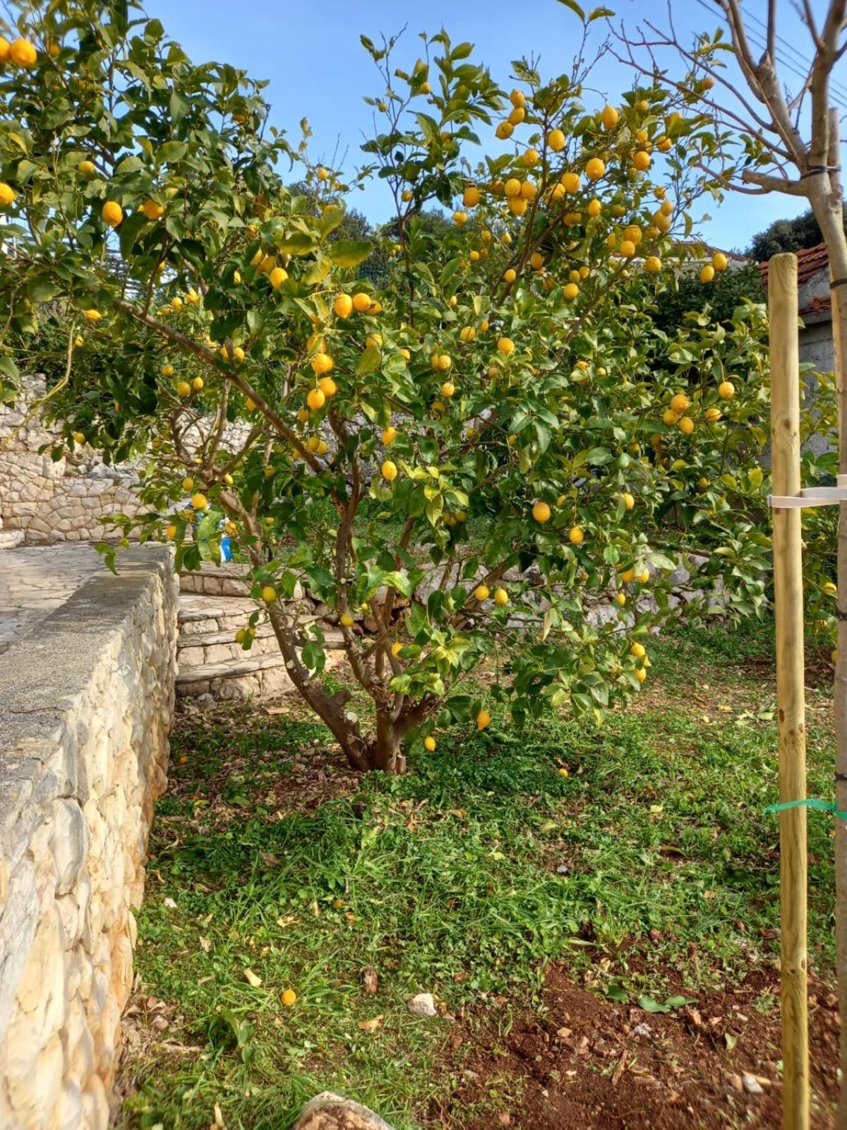 Apartament Rak Ražanj